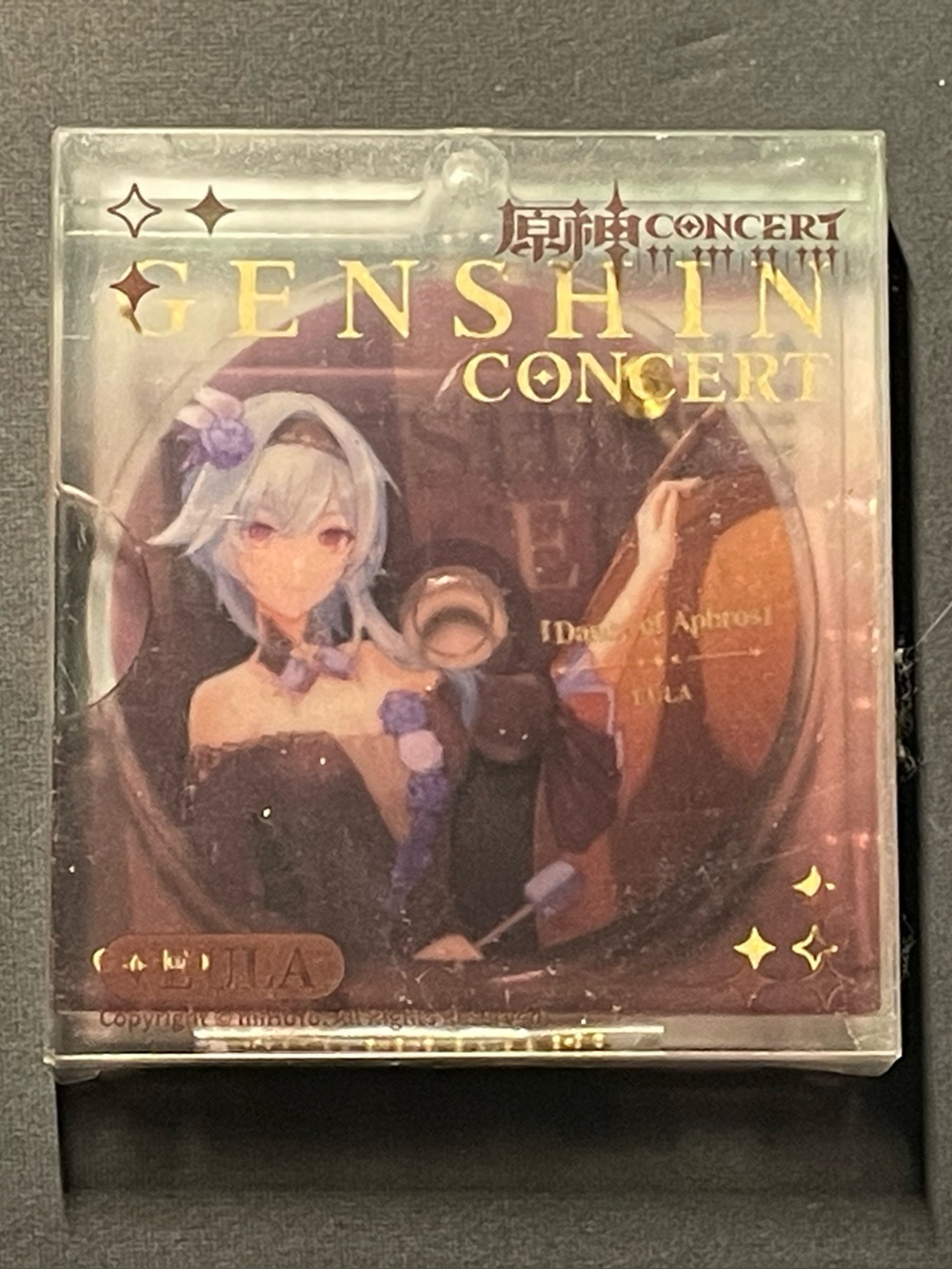 ✨ Genshin Impact – Heartfelt Wishes Series Keychain